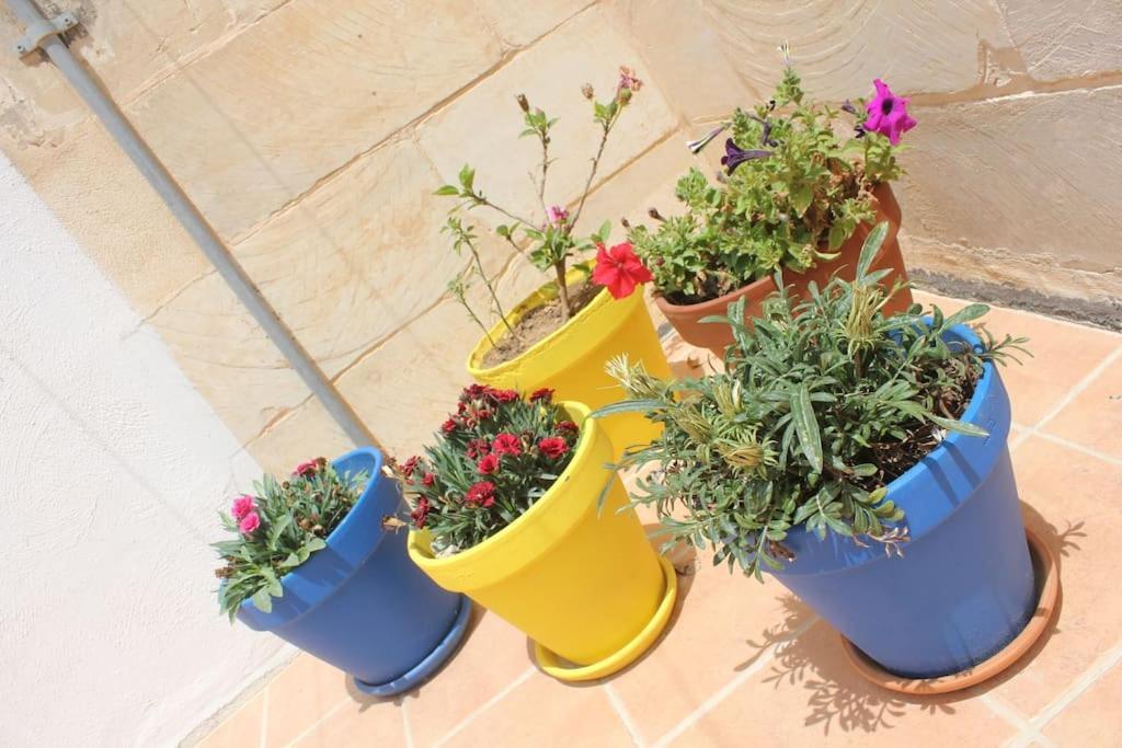 That Little * Zurrieq